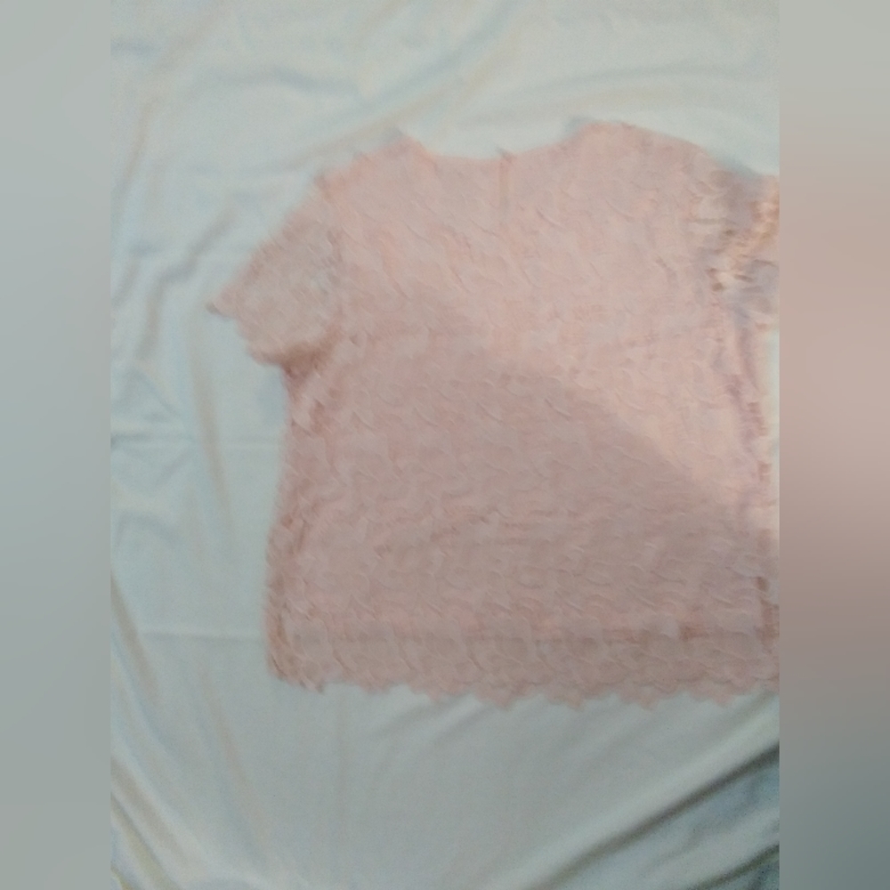 Philosophy Pink Lace Blouse size L